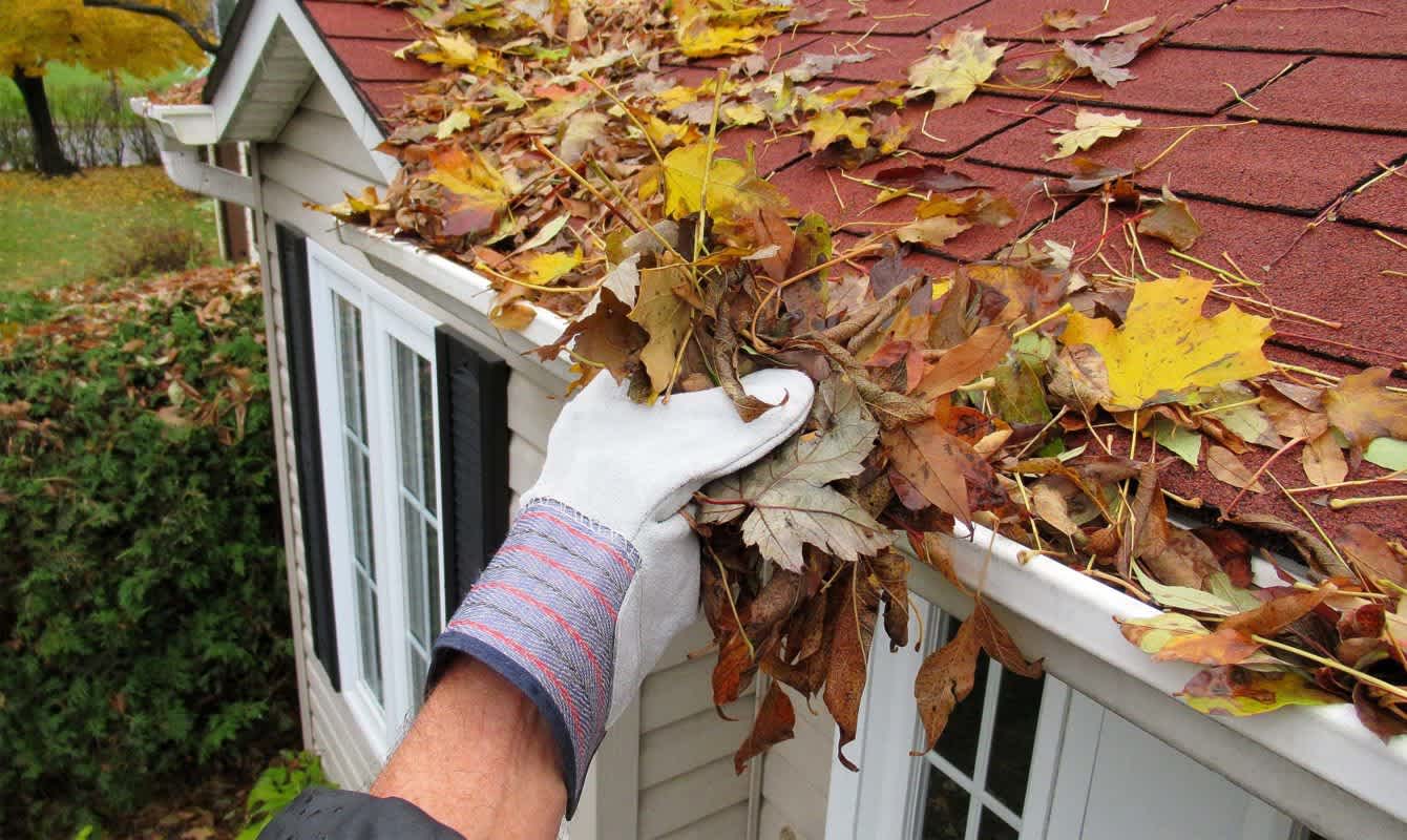 Skyline roof maintenance services